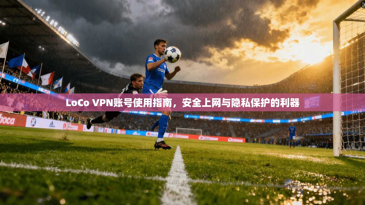 LoCo VPN账号使用指南，安全上网与隐私保护的利器