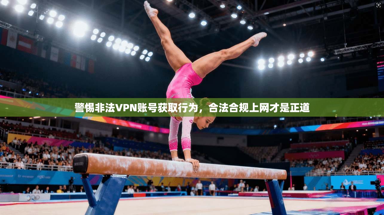 警惕非法VPN账号获取行为，合法合规上网才是正道