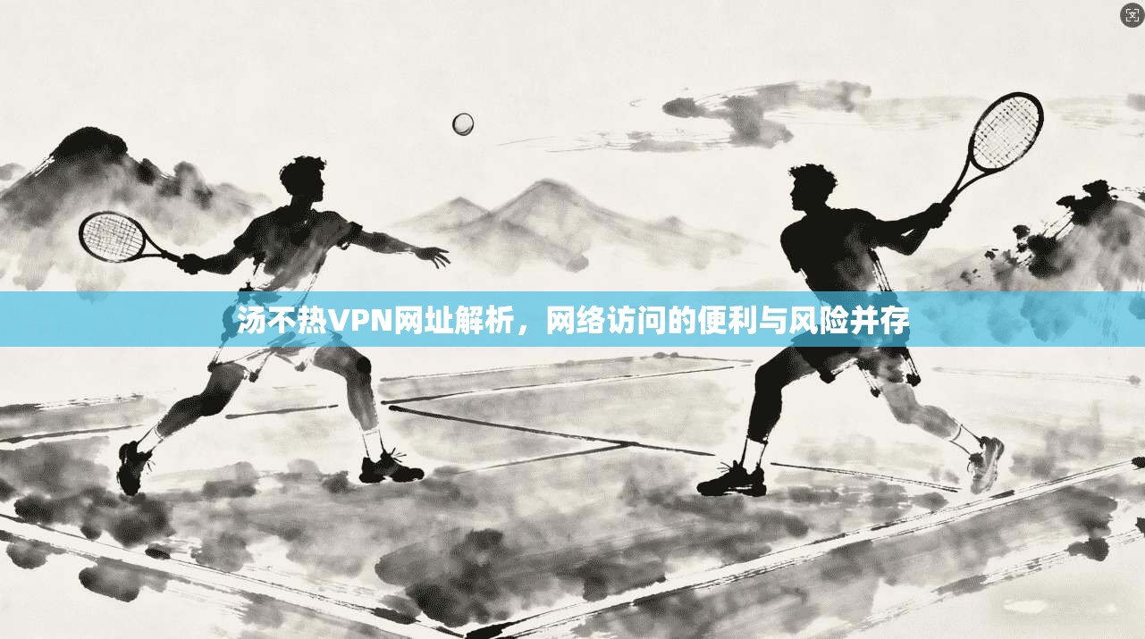 汤不热VPN网址解析，网络访问的便利与风险并存