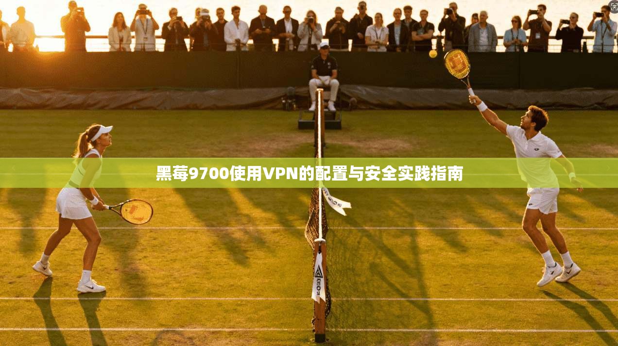 黑莓9700使用VPN的配置与安全实践指南