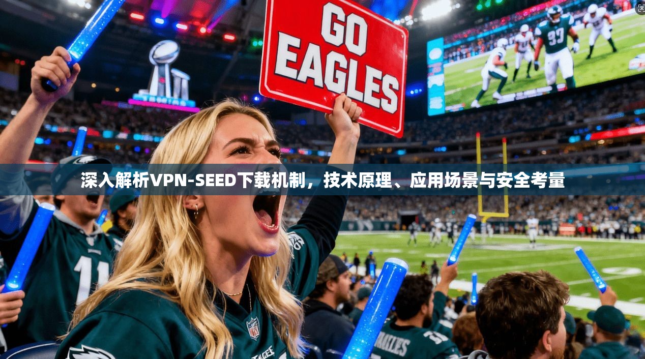 深入解析VPN-SEED下载机制，技术原理、应用场景与安全考量