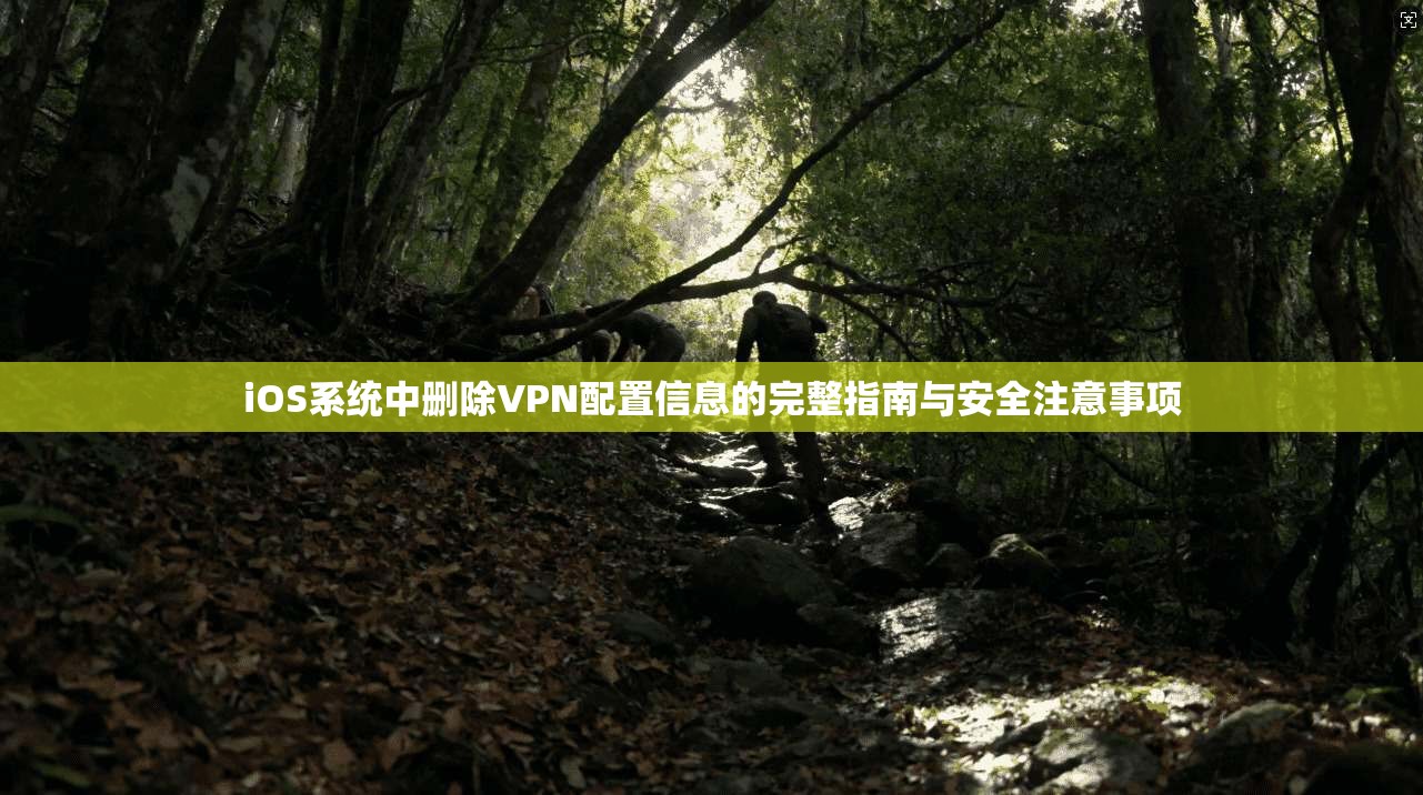 iOS系统中删除VPN配置信息的完整指南与安全注意事项
