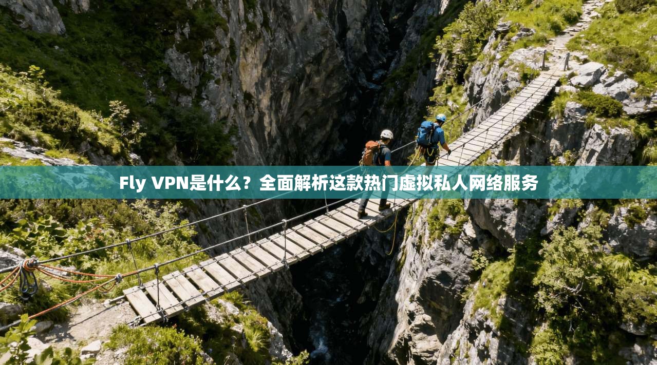 Fly VPN是什么？全面解析这款热门虚拟私人网络服务