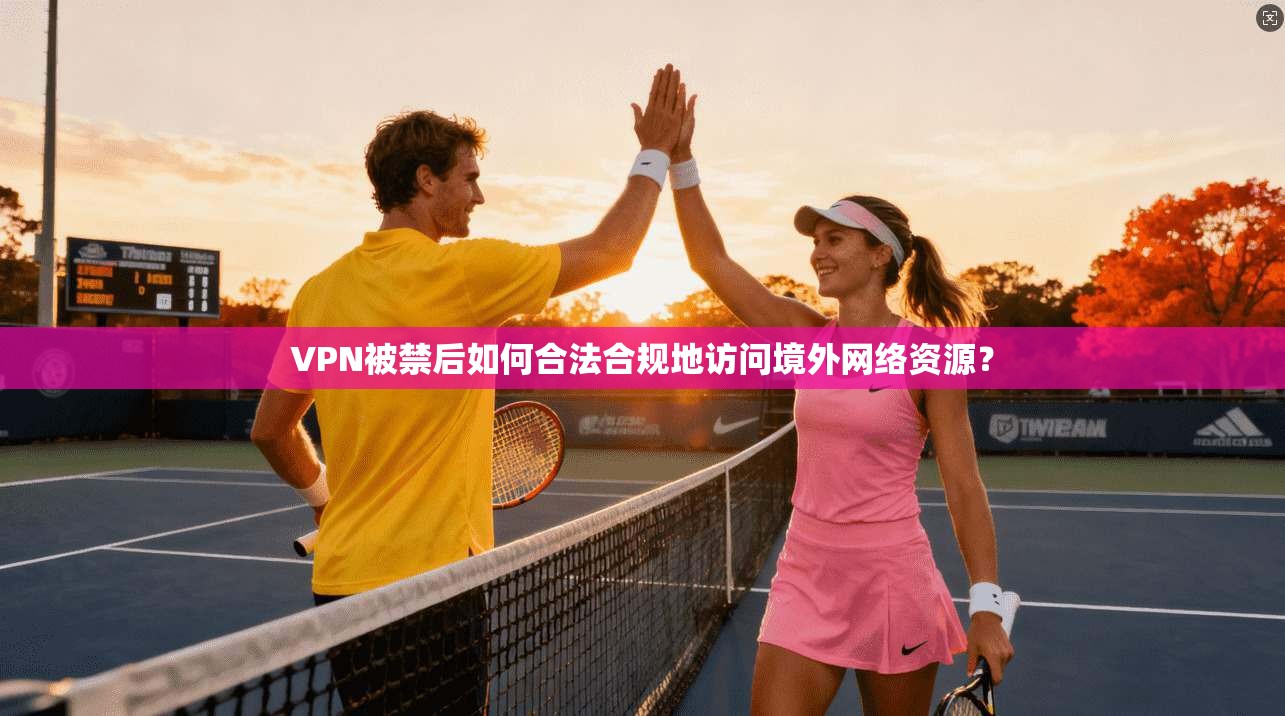 VPN被禁后如何合法合规地访问境外网络资源？