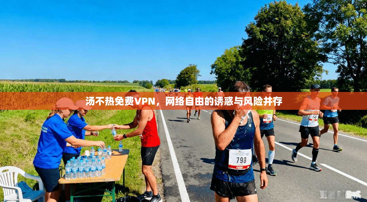 汤不热免费VPN，网络自由的诱惑与风险并存