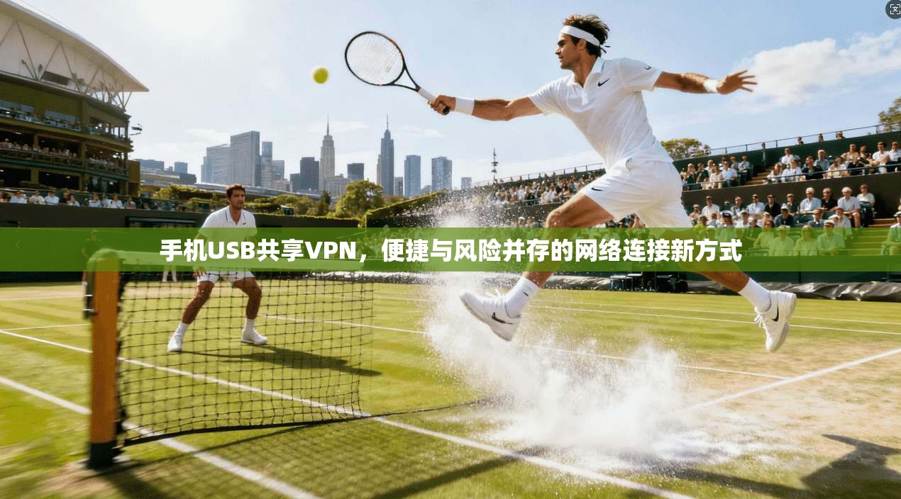 手机USB共享VPN，便捷与风险并存的网络连接新方式