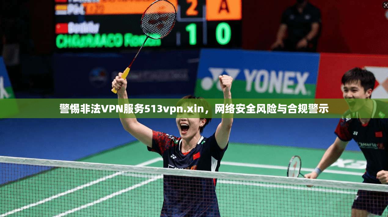 警惕非法VPN服务513vpn.xin，网络安全风险与合规警示