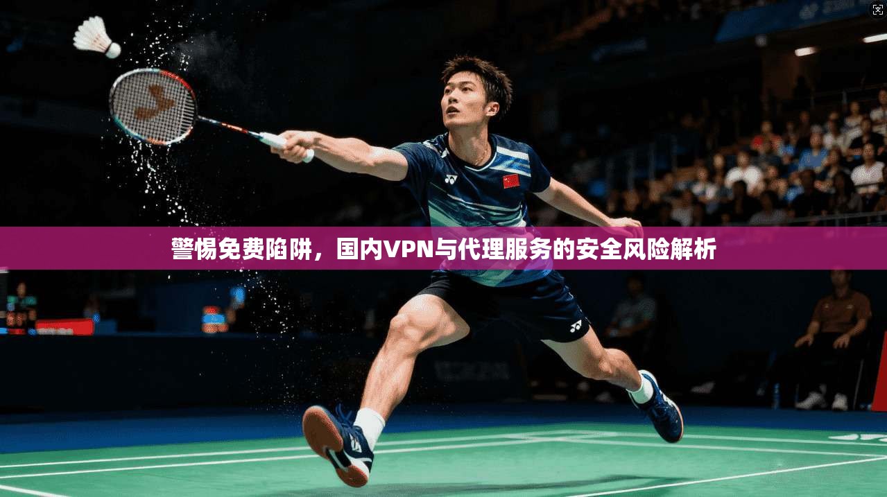 警惕免费陷阱，国内VPN与代理服务的安全风险解析