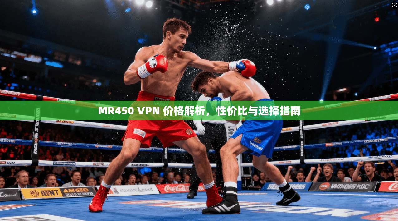 MR450 VPN 价格解析，性价比与选择指南