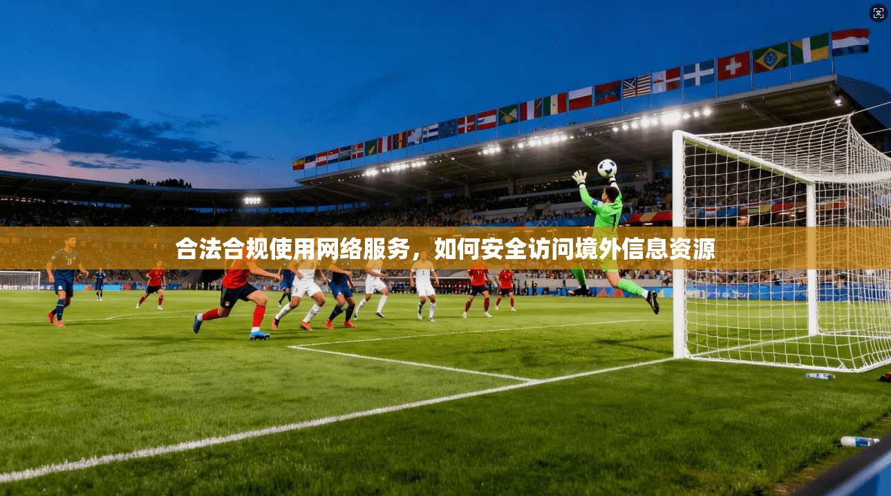 合法合规使用网络服务，如何安全访问境外信息资源