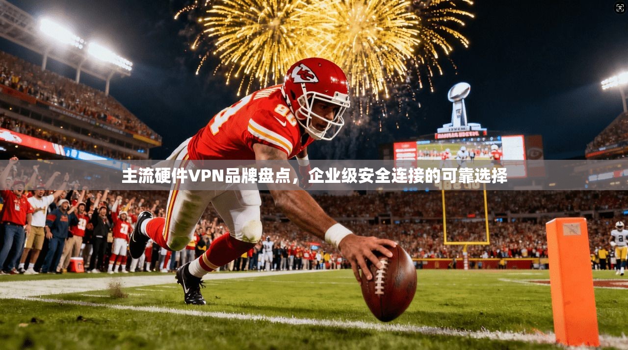主流硬件VPN品牌盘点，企业级安全连接的可靠选择