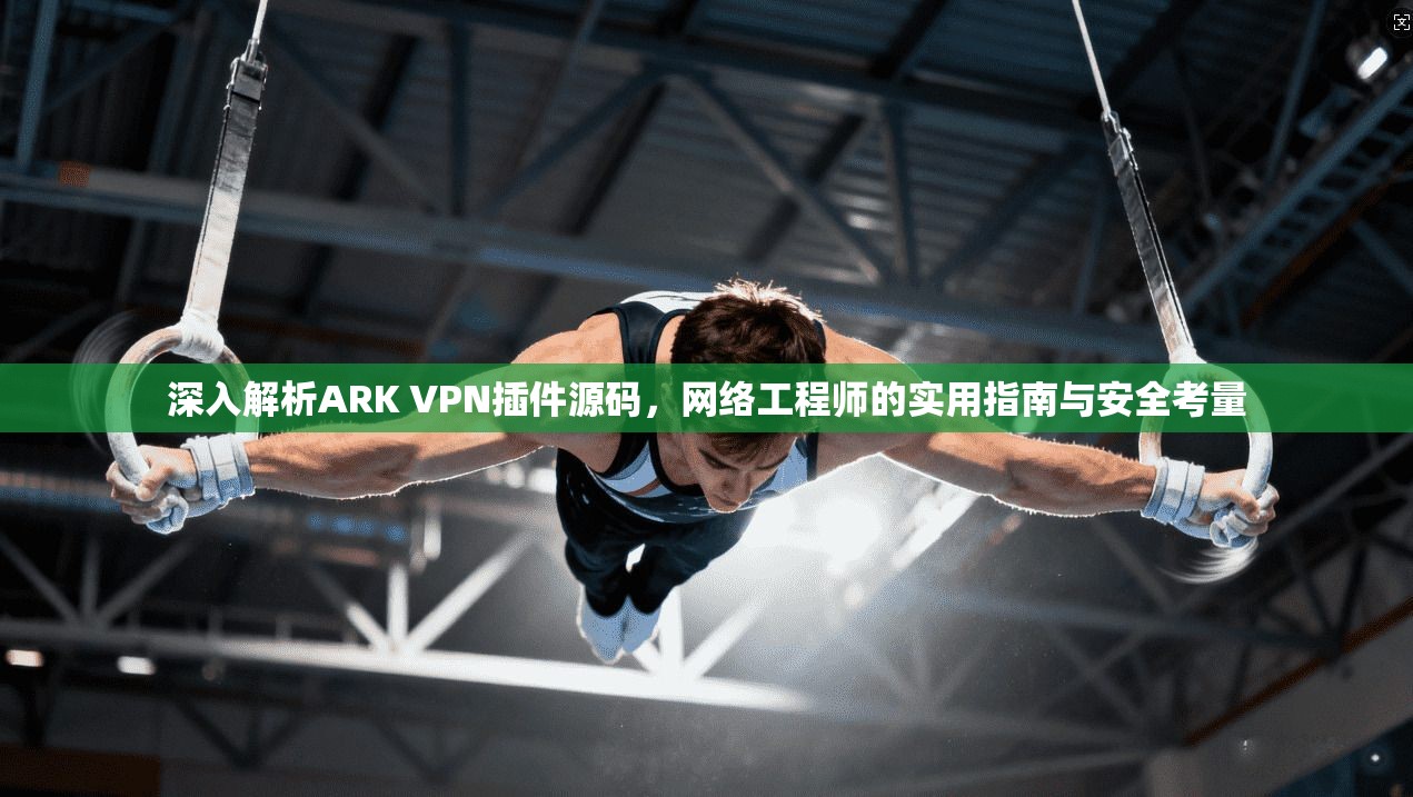 深入解析ARK VPN插件源码，网络工程师的实用指南与安全考量