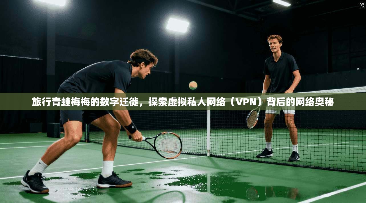 旅行青蛙梅梅的数字迁徙，探索虚拟私人网络（VPN）背后的网络奥秘