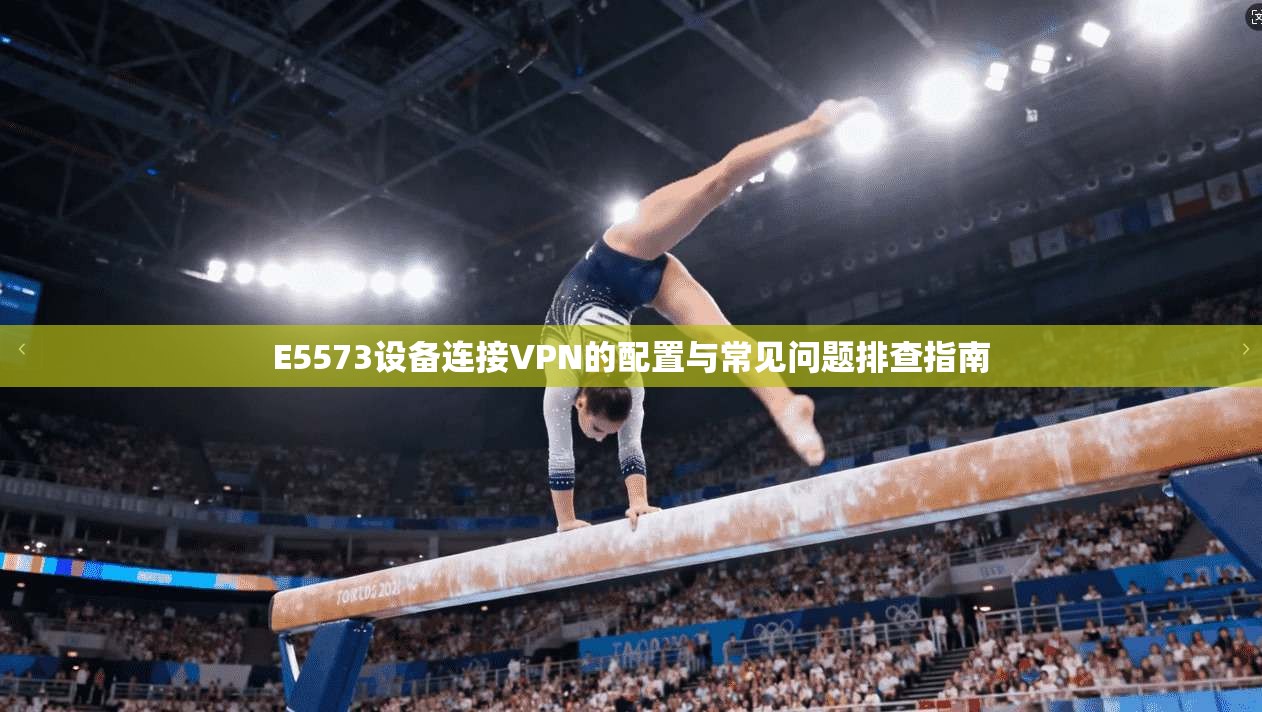 E5573设备连接VPN的配置与常见问题排查指南