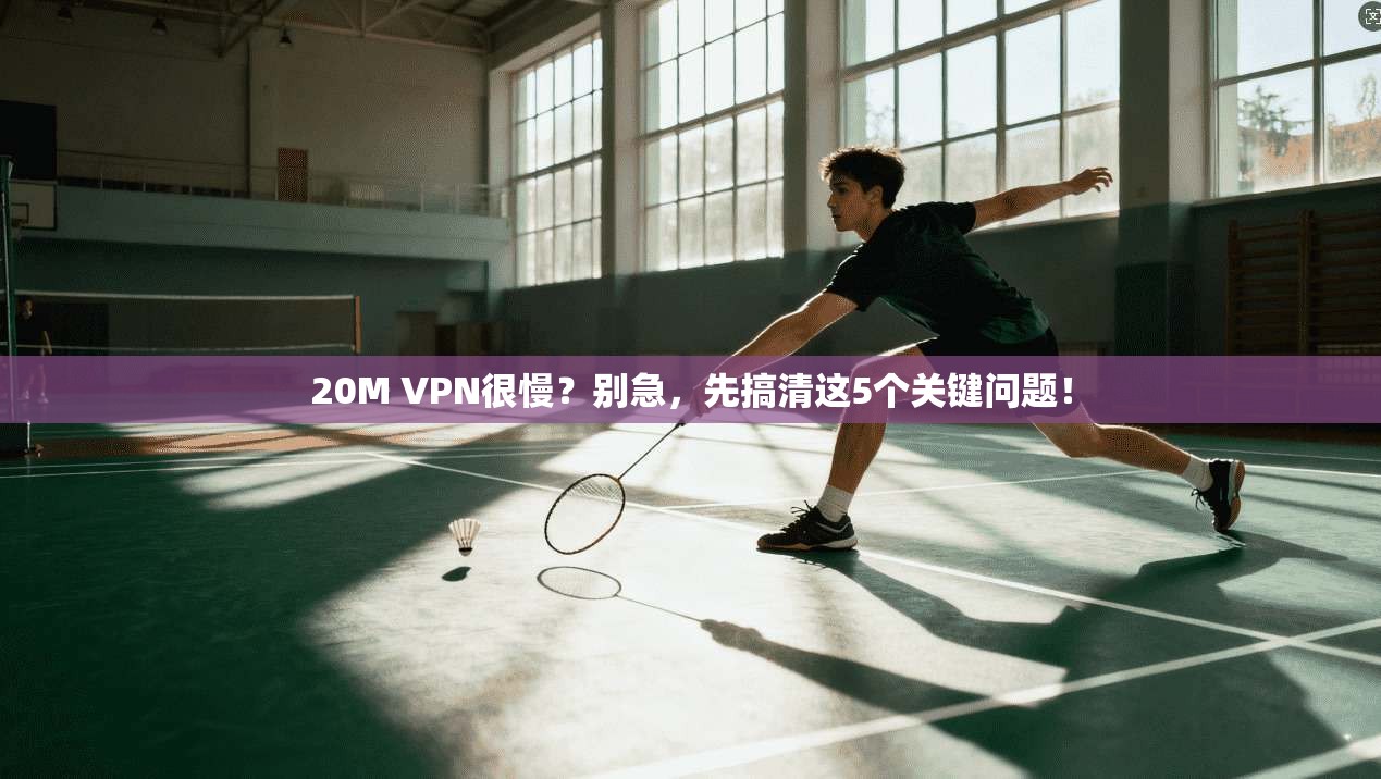 20M VPN很慢？别急，先搞清这5个关键问题！