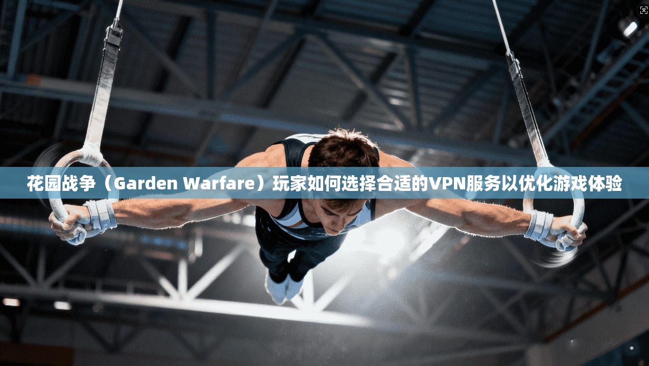 花园战争（Garden Warfare）玩家如何选择合适的VPN服务以优化游戏体验