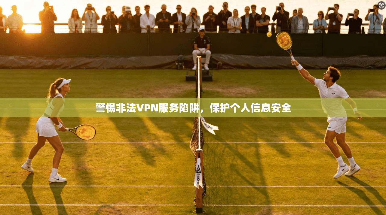 警惕非法VPN服务陷阱，保护个人信息安全
