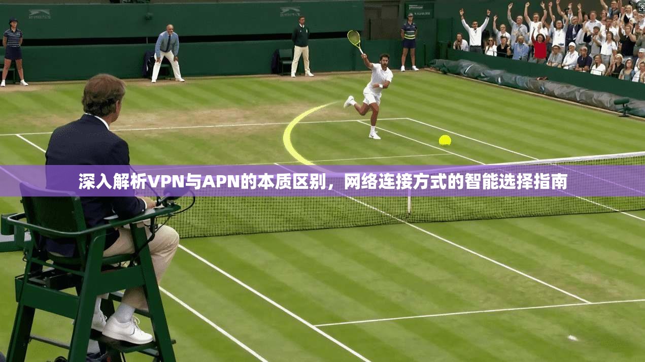 深入解析VPN与APN的本质区别，网络连接方式的智能选择指南