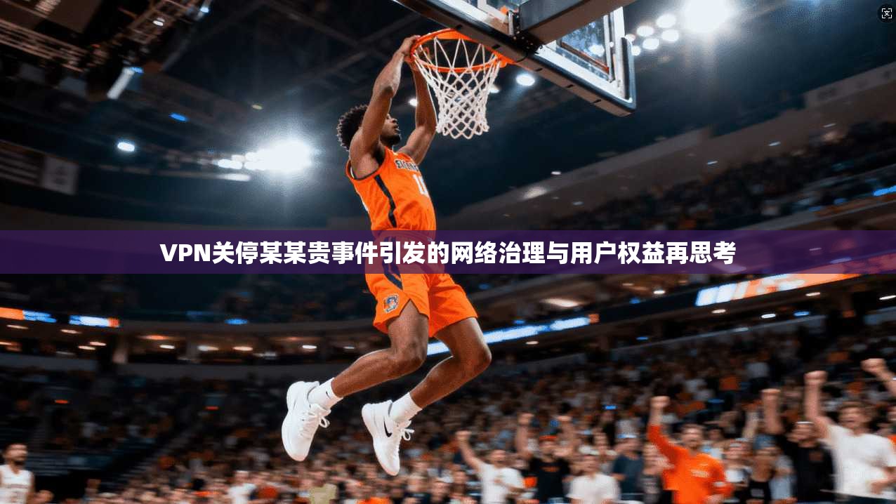 VPN关停某某贵事件引发的网络治理与用户权益再思考