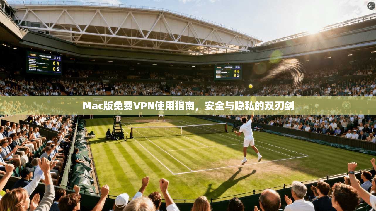 Mac版免费VPN使用指南，安全与隐私的双刃剑