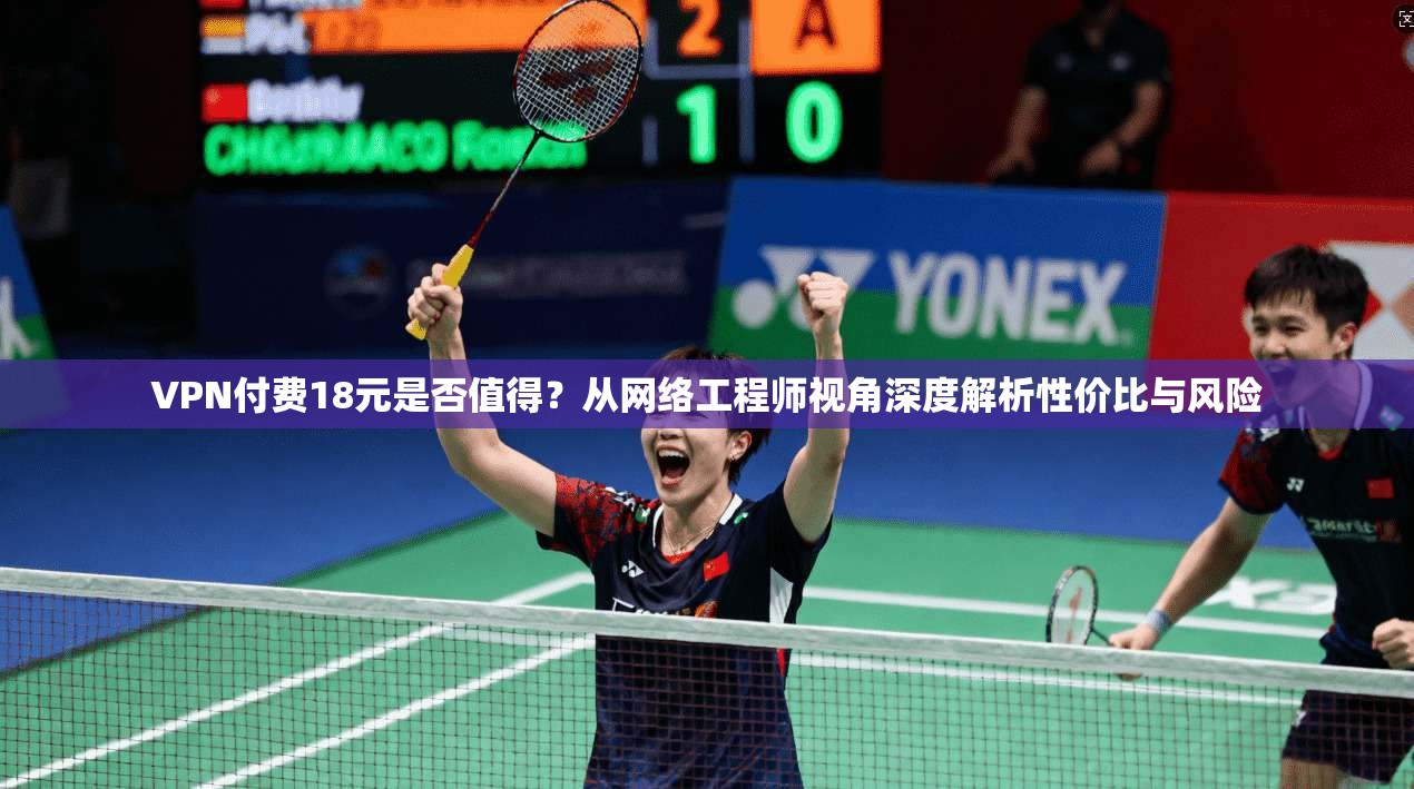 VPN付费18元是否值得？从网络工程师视角深度解析性价比与风险