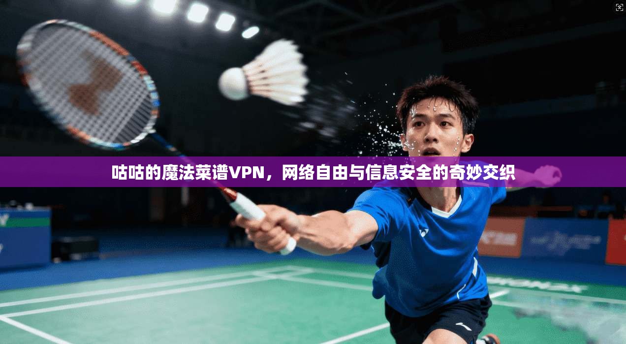 咕咕的魔法菜谱VPN，网络自由与信息安全的奇妙交织
