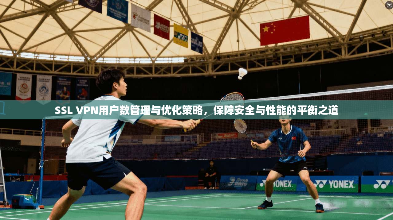 SSL VPN用户数管理与优化策略，保障安全与性能的平衡之道