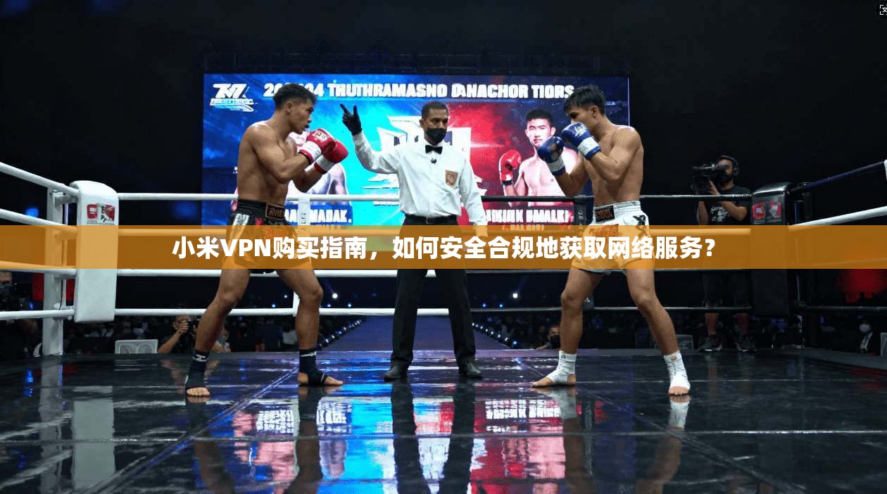 小米VPN购买指南，如何安全合规地获取网络服务？