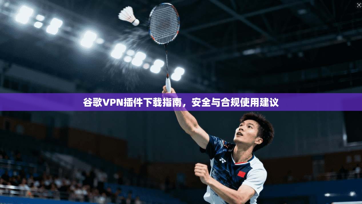 谷歌VPN插件下载指南，安全与合规使用建议