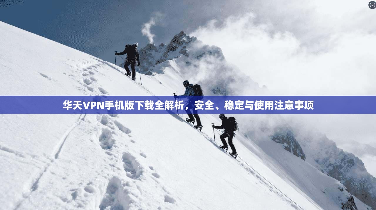 华天VPN手机版下载全解析，安全、稳定与使用注意事项