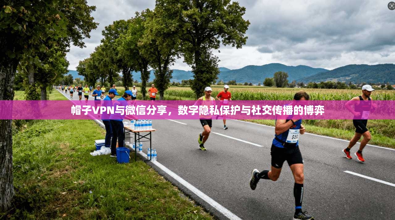 帽子VPN与微信分享，数字隐私保护与社交传播的博弈