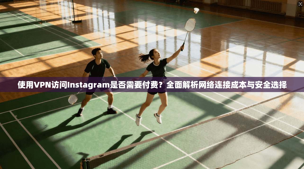 使用VPN访问Instagram是否需要付费？全面解析网络连接成本与安全选择