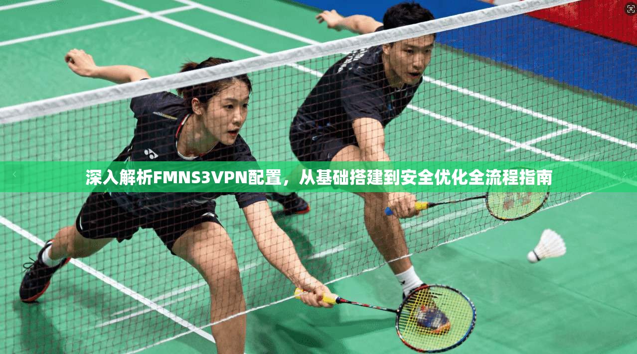 深入解析FMNS3VPN配置，从基础搭建到安全优化全流程指南