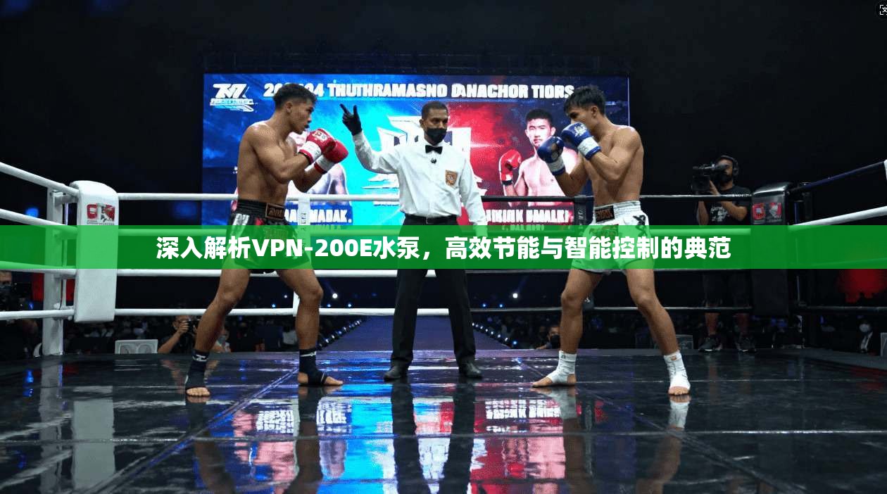 深入解析VPN-200E水泵，高效节能与智能控制的典范