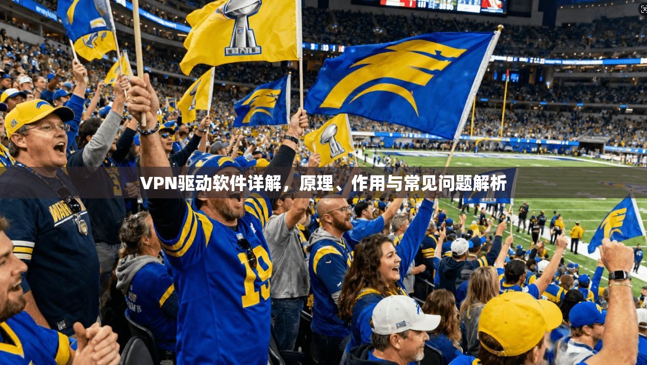 VPN驱动软件详解，原理、作用与常见问题解析
