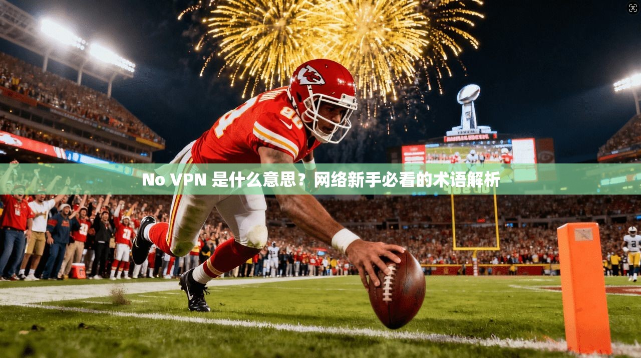 No VPN 是什么意思？网络新手必看的术语解析