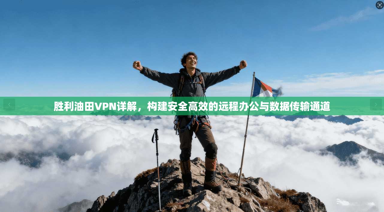 胜利油田VPN详解，构建安全高效的远程办公与数据传输通道
