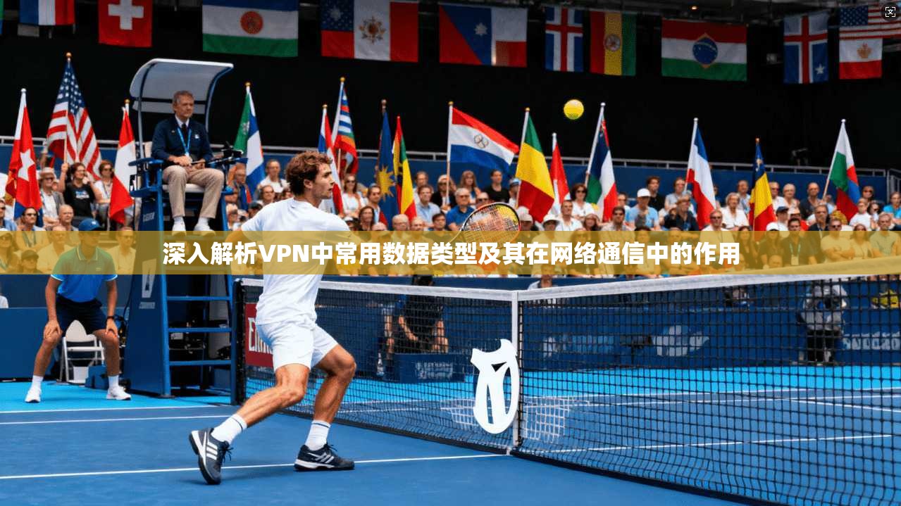 深入解析VPN中常用数据类型及其在网络通信中的作用
