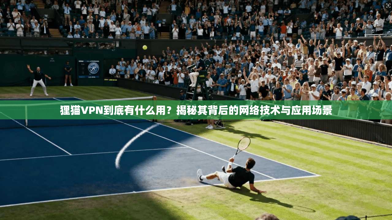 狸猫VPN到底有什么用？揭秘其背后的网络技术与应用场景