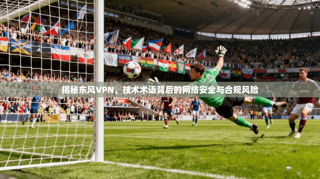 揭秘东风VPN,技术术语背后的网络安全与合规风险 揭秘东风VPN,技术术语背后的网络安全与合规风险