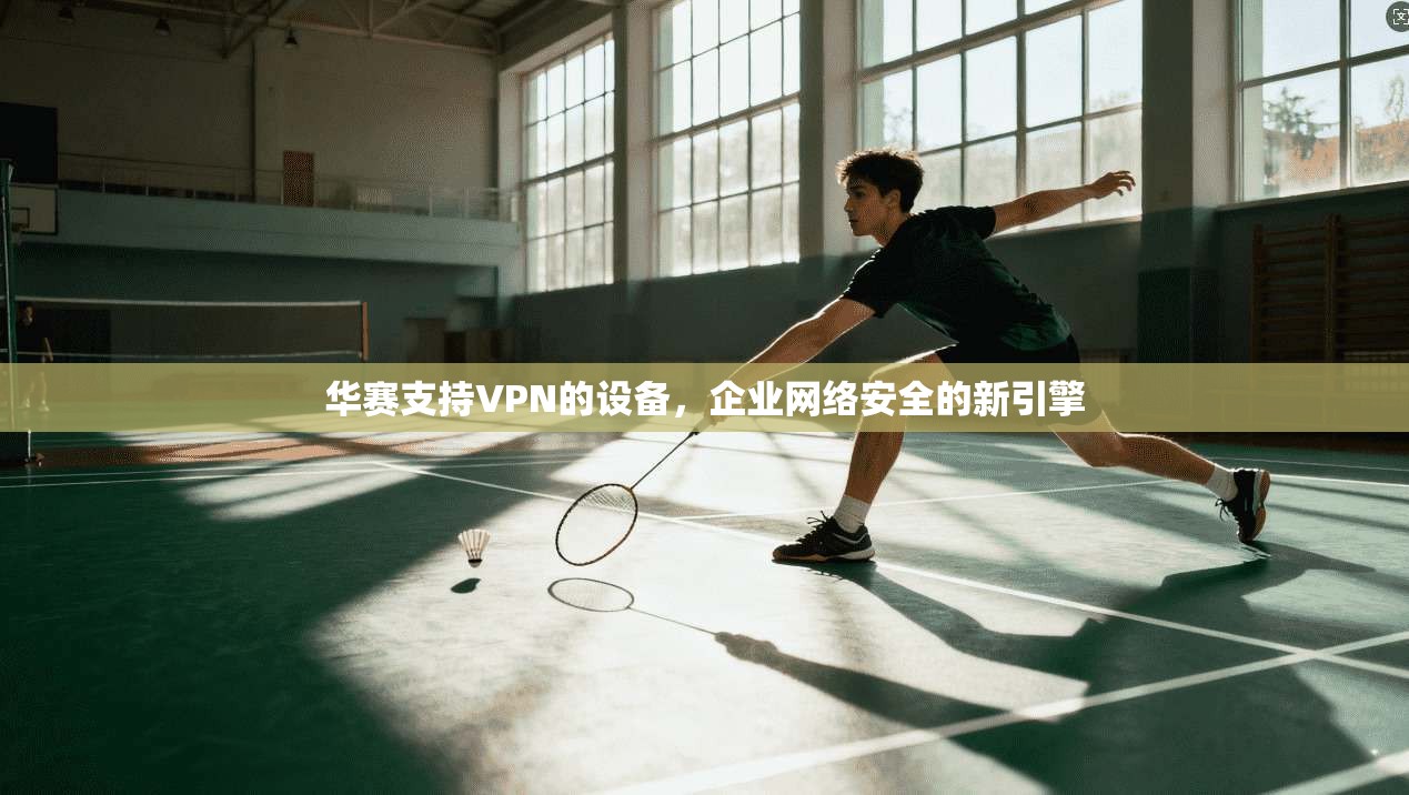华赛支持VPN的设备，企业网络安全的新引擎