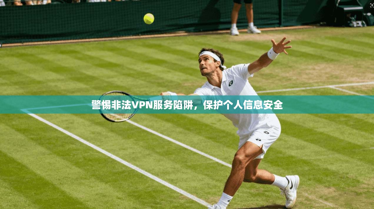 警惕非法VPN服务陷阱，保护个人信息安全