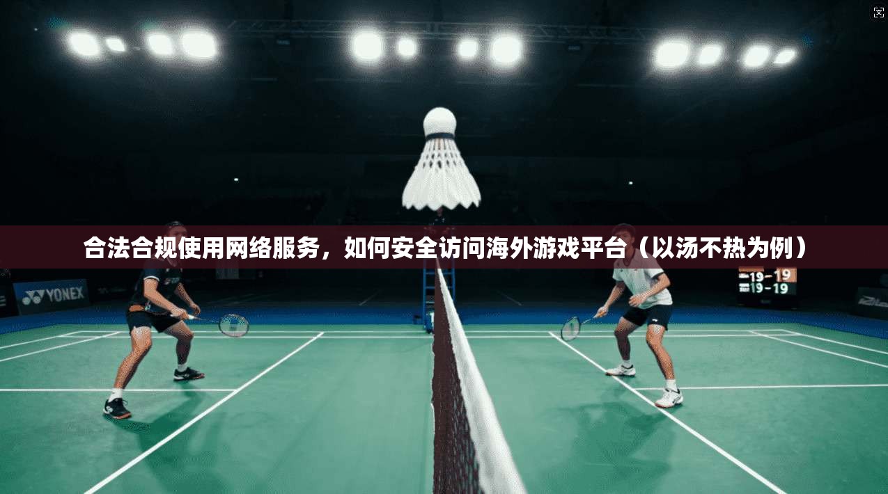 合法合规使用网络服务，如何安全访问海外游戏平台（以汤不热为例）