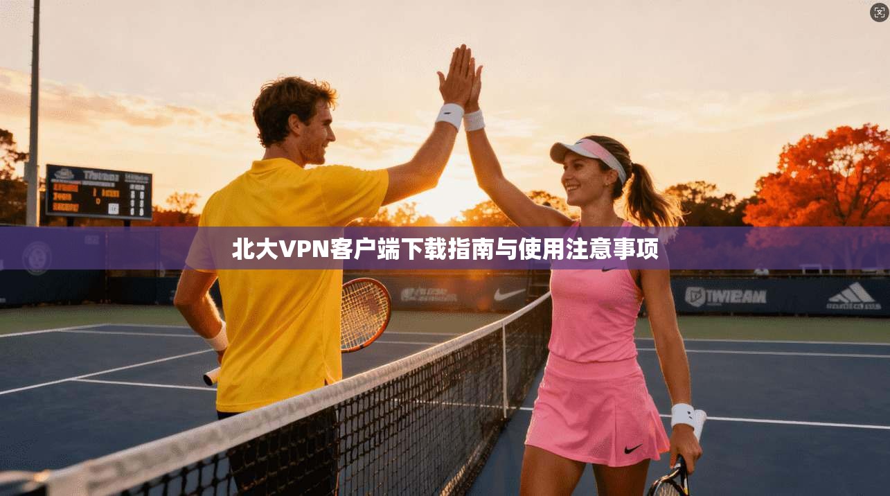 北大VPN客户端下载指南与使用注意事项