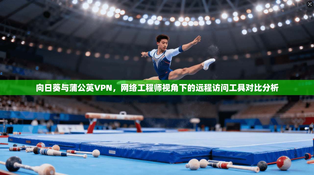 向日葵与蒲公英VPN，网络工程师视角下的远程访问工具对比分析