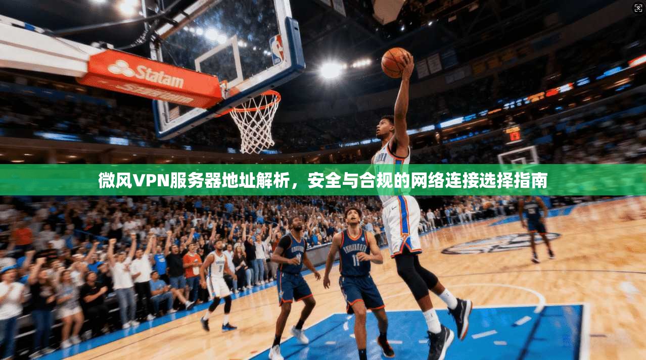 微风VPN服务器地址解析，安全与合规的网络连接选择指南