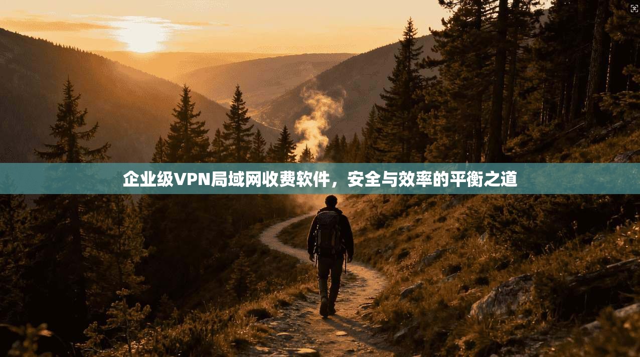 企业级VPN局域网收费软件，安全与效率的平衡之道