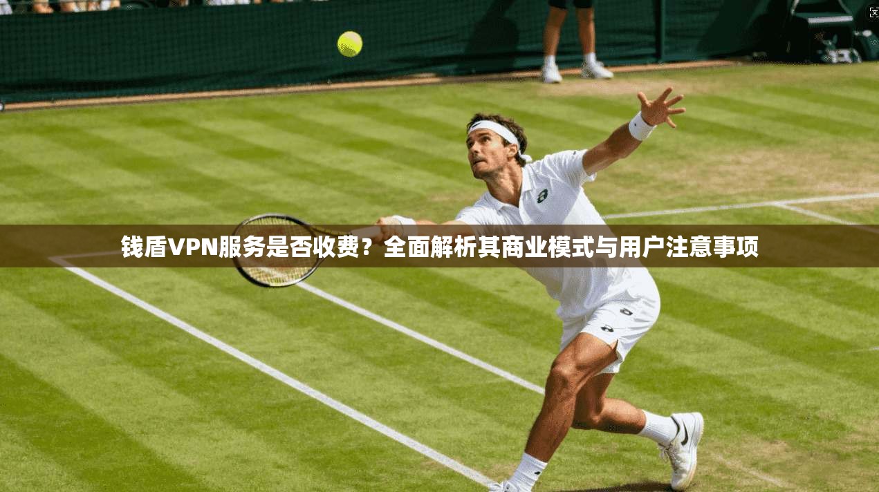 钱盾VPN服务是否收费？全面解析其商业模式与用户注意事项