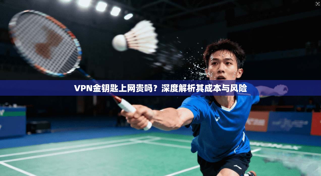 VPN金钥匙上网贵吗？深度解析其成本与风险