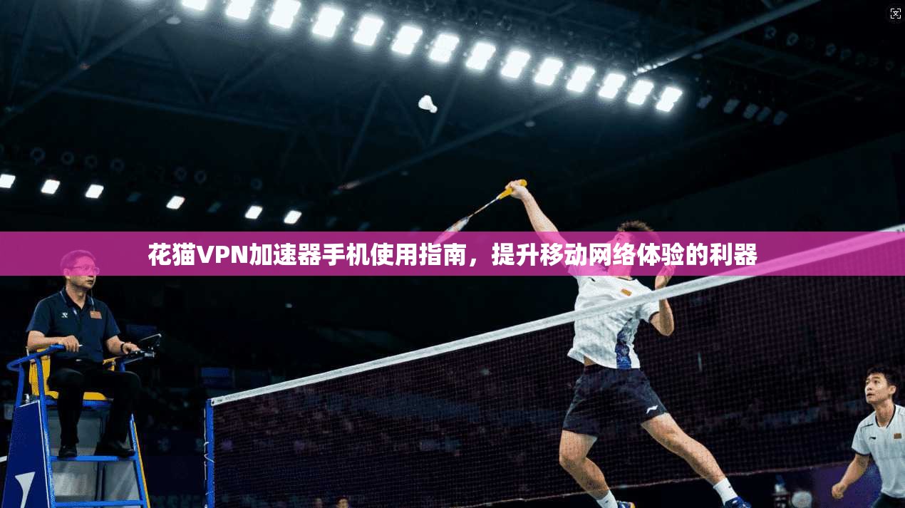 花猫VPN加速器手机使用指南，提升移动网络体验的利器